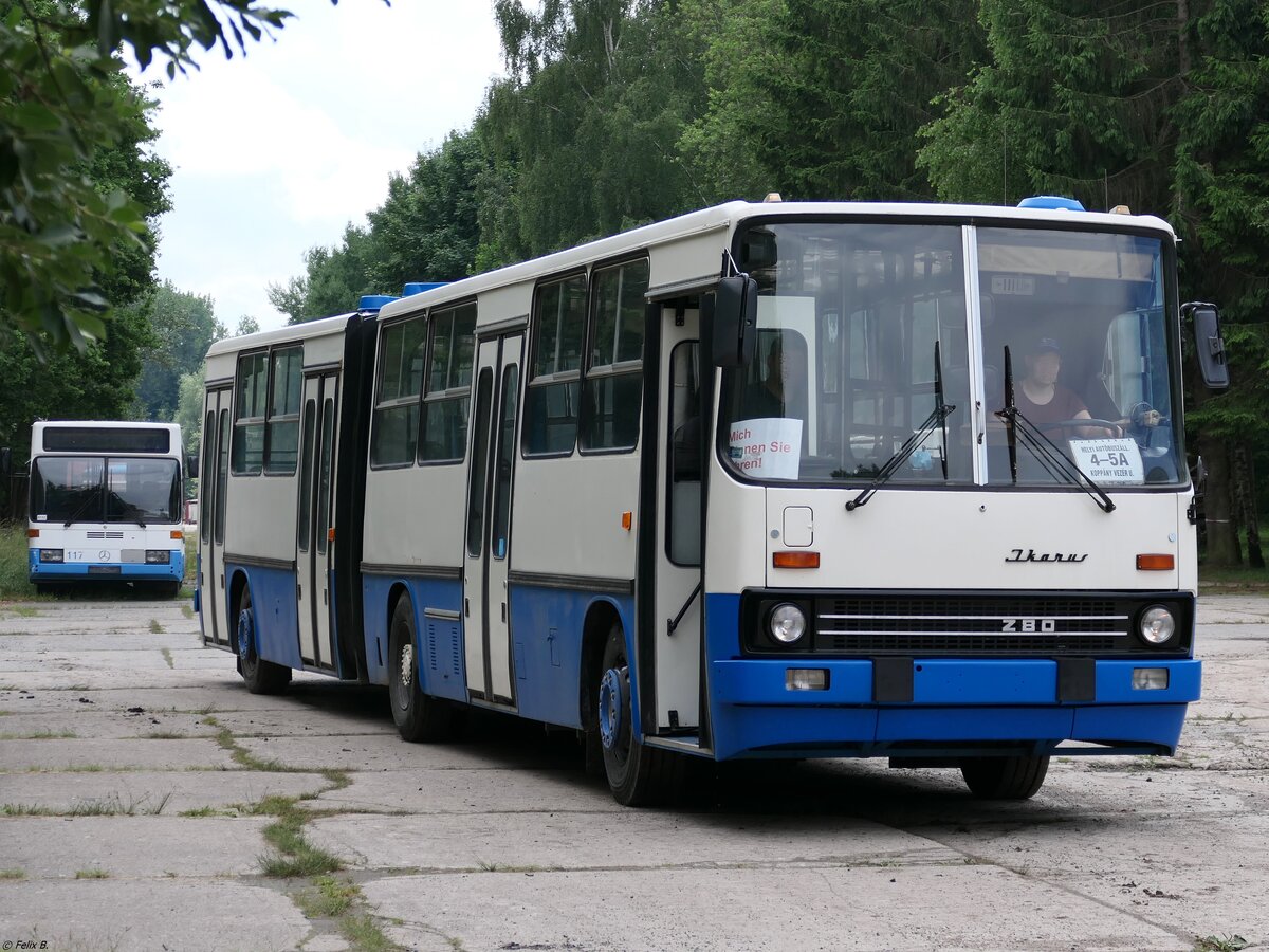 Ikarus 280 vom Technikmuseum Pütnitz (exex Kapos Volán Zrt. (BY 64-60), ex Kaposvári Közlekedési Zrt. (BRS-306)) in Pütnitz.