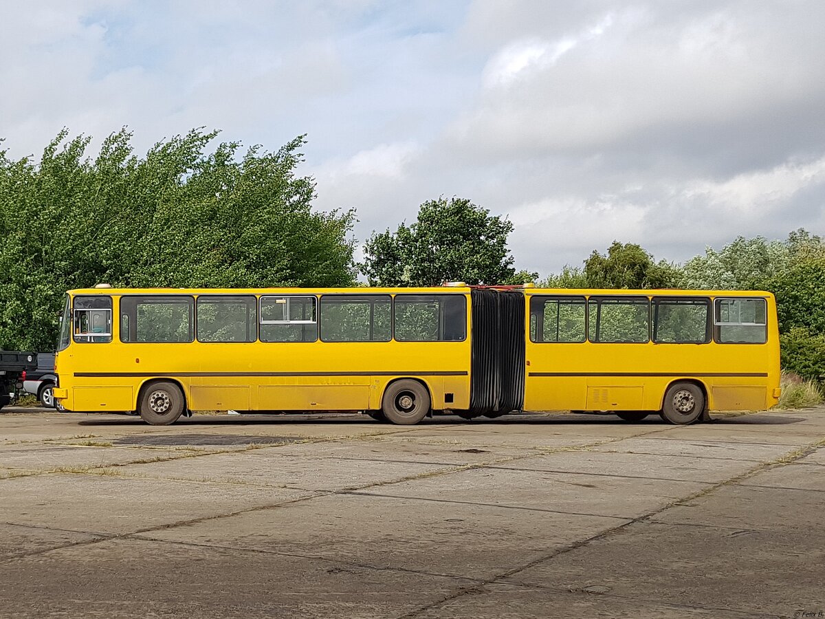 Ikarus 280 vom Technikmuseum P�tnitz in P�tnitz.