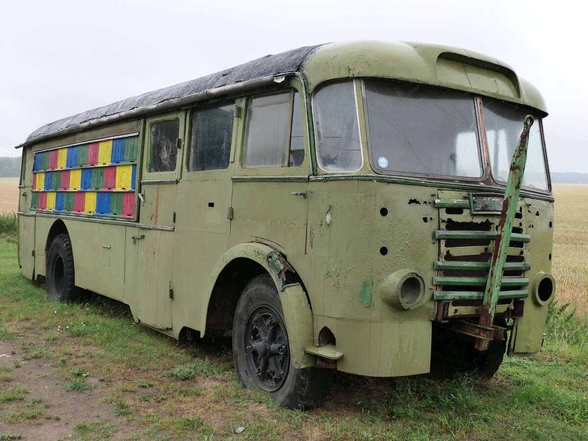 Ikarus 601 vom DDR-Museum Dargen in Dargen.