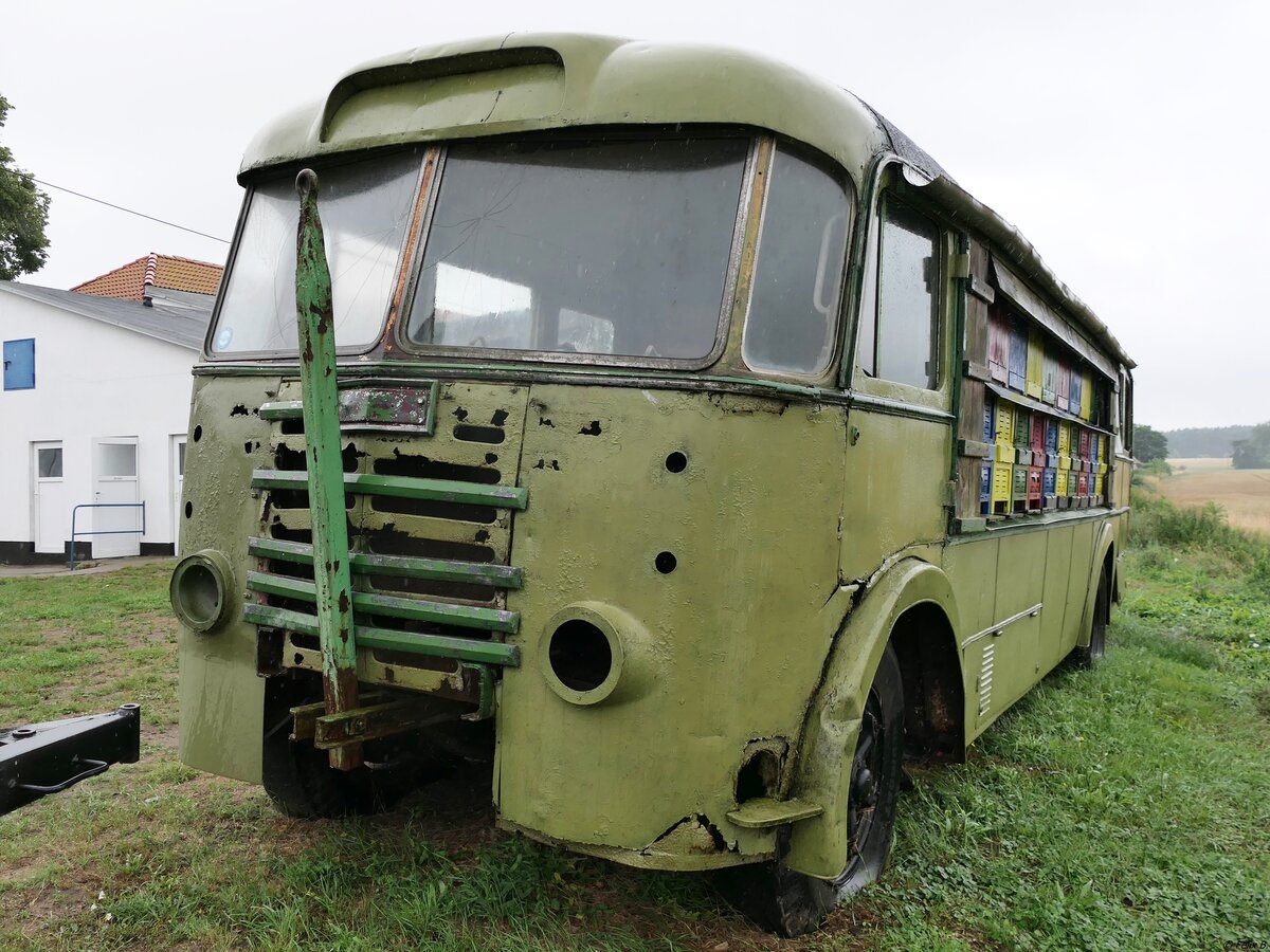 Ikarus 601 vom DDR-Museum Dargen in Dargen.