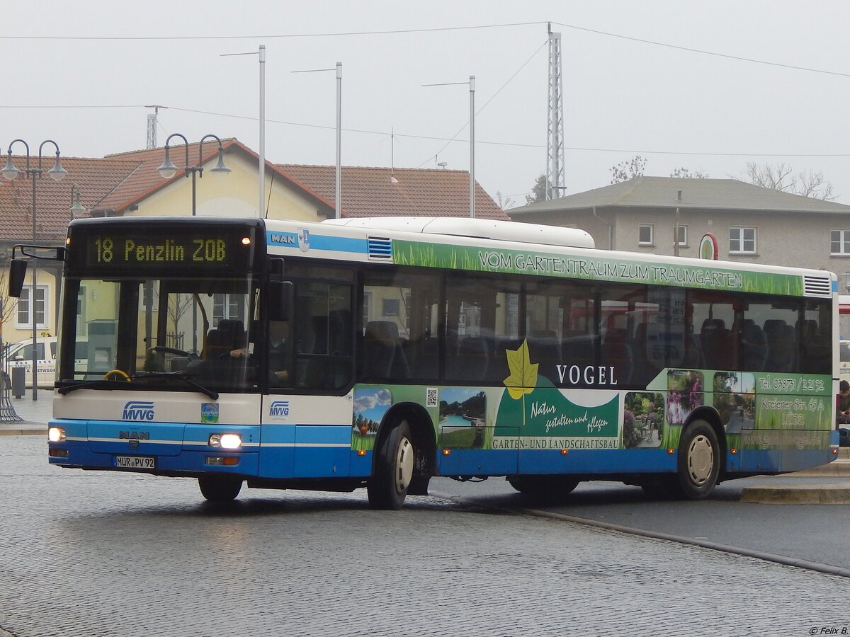 MAN Niederflurbus 2. Generation der MVVG in Neustrelitz.