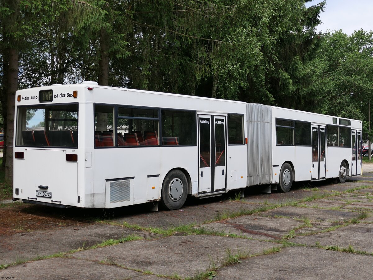 MAN SG 242 vom Technikmuseum Pütnitz in Pütnitz. 
