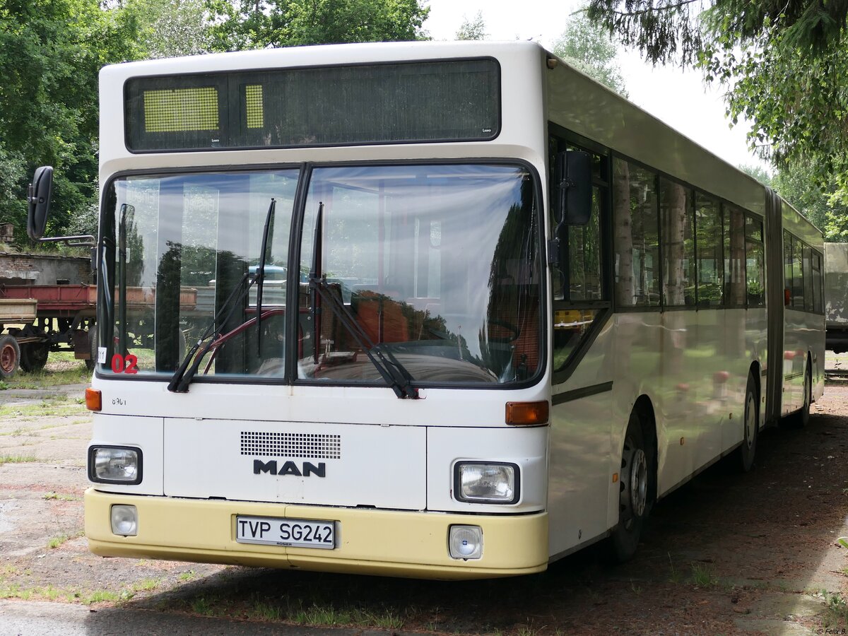 MAN SG 242 vom Technikmuseum Pütnitz in Pütnitz. 