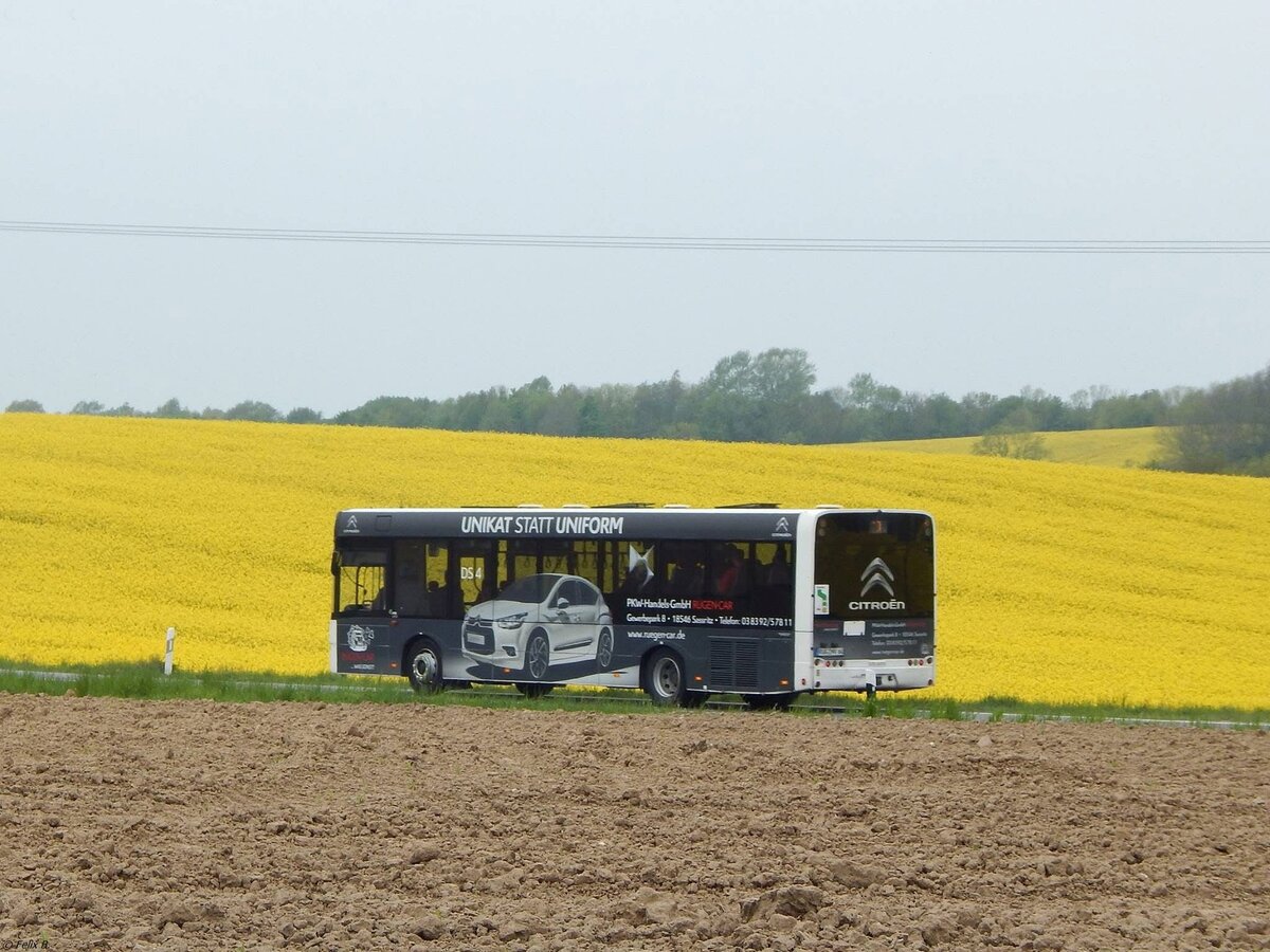 Solaris Urbino 12 der VVR vor Sargard.