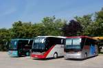  Starke  SETRAS:re Blaguss 411 HD,dann der neue 515 HD von Blaguss und links der Setra 415 GT-HD von Kastler/�sterreich,Krems am 19.6.2013.