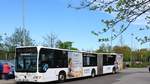...am strelapark der Citaro HST NV 98 der Stadtwerke Stralsund und seiner Werbung f�r Arvato Stralsund mai 2018
