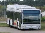 Mercedes Citaro II (ex Omnibus Vogel _ MIL-NV 19) in Goldenst�dt.