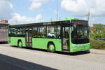 MAN Lions City in Frosch-gr�n stand am 10.06.2017 am ZOB in Wismar