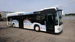 ....diese Citaro werden im Stadtverkehr von Neustrelitz und im  �berlandverkehr eingesetzt   Juni 2017