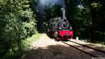 Die Dampflok Hoya fährt in Vilser Holz ein (am 01.08.2015)