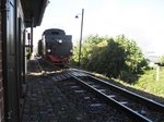 Lok 20 am 02.10.2016 mit ihrem Zug bei der Einfahrt in Bocksthal Richtung Hettstedt.