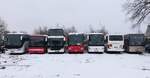 Setra 516 HD und Setra 415 LE Business und Setra 431 DT und Mercedes Travego und Mercedes Tourismo von URB und Mercedes Tourismo (ex Pommern-Touristik) aus Deutschland in Ueckermünde.